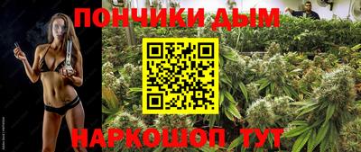 сатива Бийск