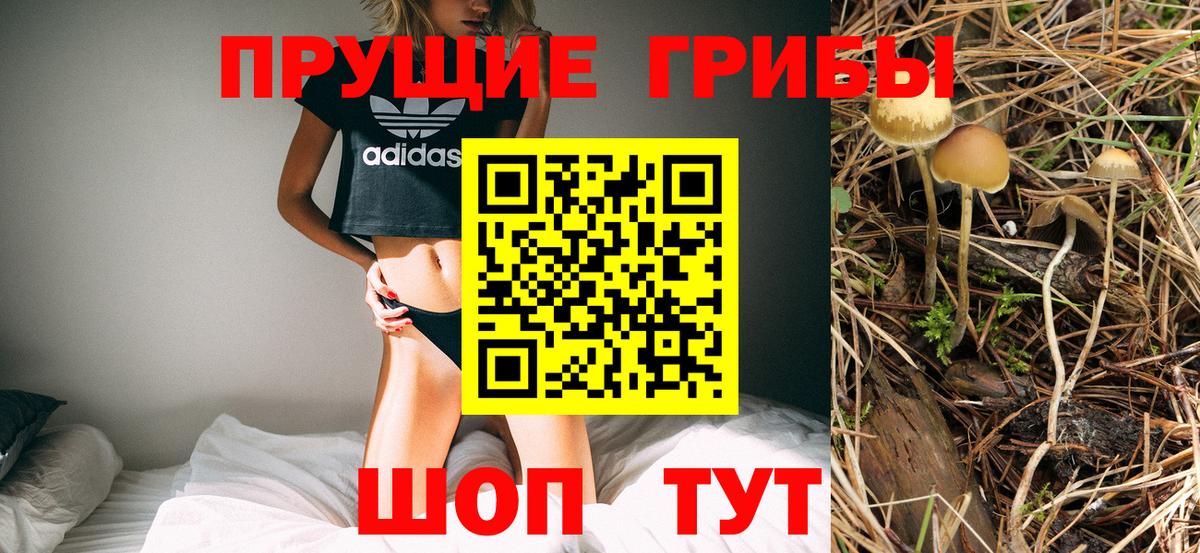 Красногорск  Галлюциногенные грибы GOLDEN TEACHER  цены наркотик  Вход с VPN 